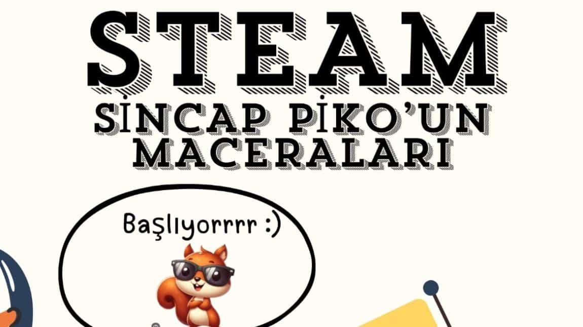 Sincap Piko'nun Maceraları E Twining Projemiz